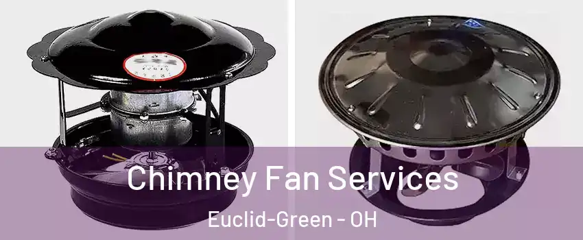 Chimney Fan Services Euclid-Green - OH
