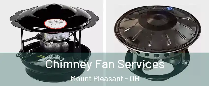Chimney Fan Services Mount Pleasant - OH