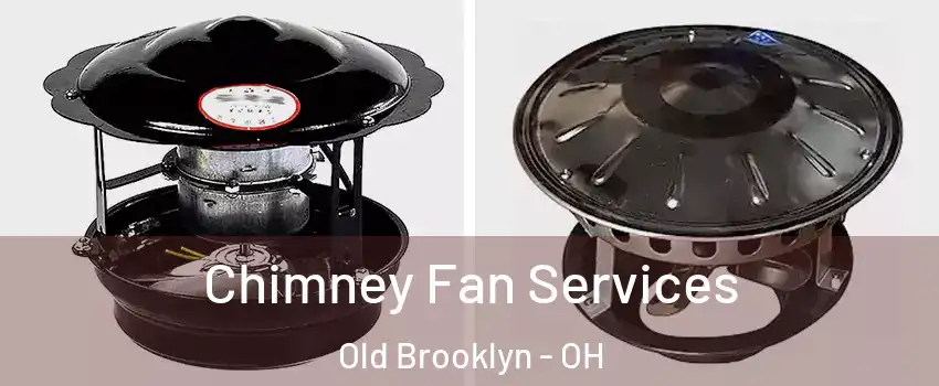 Chimney Fan Services Old Brooklyn - OH