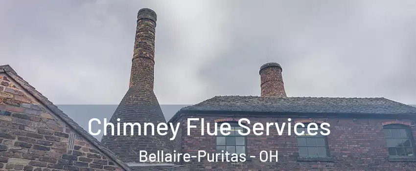 Chimney Flue Services Bellaire-Puritas - OH