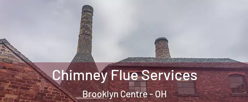 Chimney Flue Services Brooklyn Centre - OH