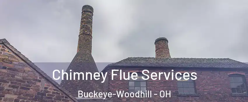 Chimney Flue Services Buckeye-Woodhill - OH