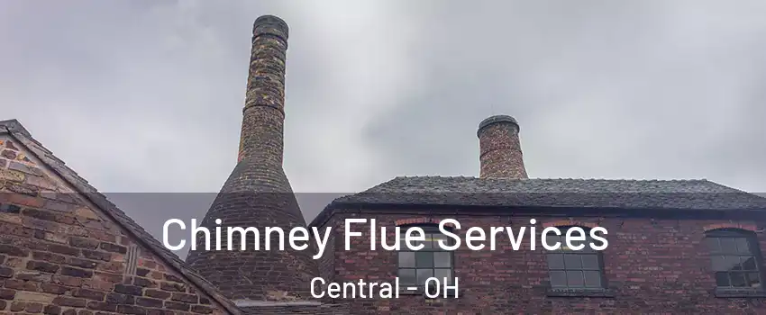Chimney Flue Services Central - OH