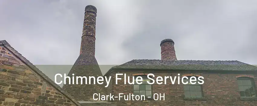 Chimney Flue Services Clark-Fulton - OH
