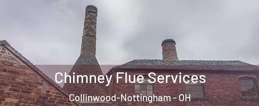 Chimney Flue Services Collinwood-Nottingham - OH