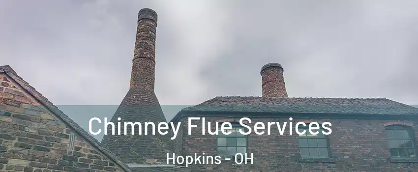 Chimney Flue Services Hopkins - OH