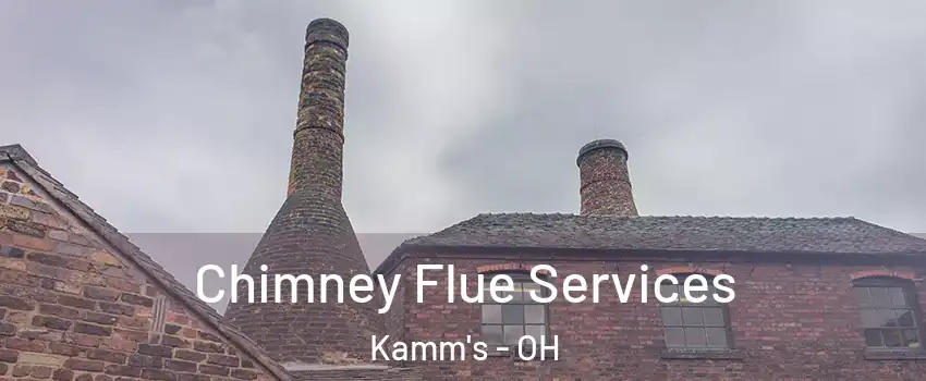 Chimney Flue Services Kamm's - OH