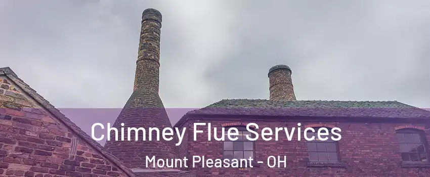 Chimney Flue Services Mount Pleasant - OH