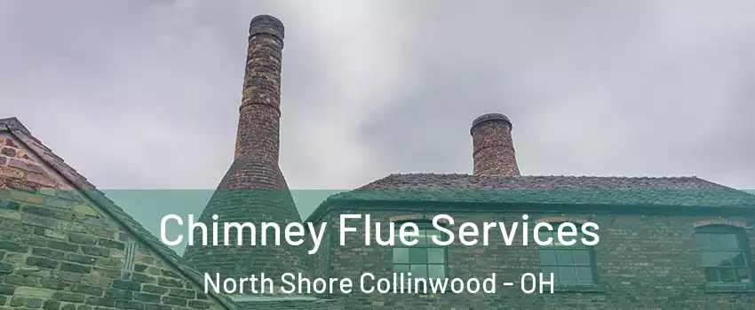 Chimney Flue Services North Shore Collinwood - OH