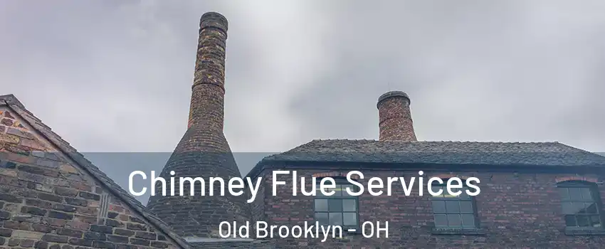Chimney Flue Services Old Brooklyn - OH