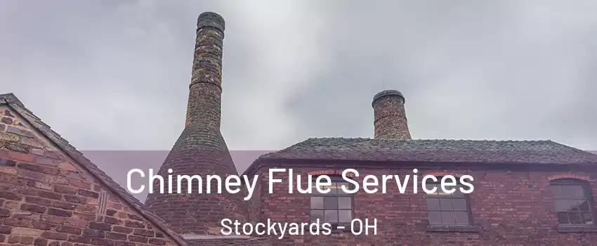 Chimney Flue Services Stockyards - OH