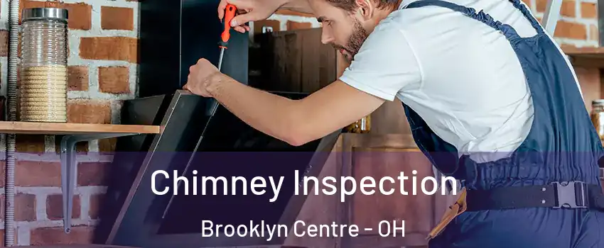 Chimney Inspection Brooklyn Centre - OH