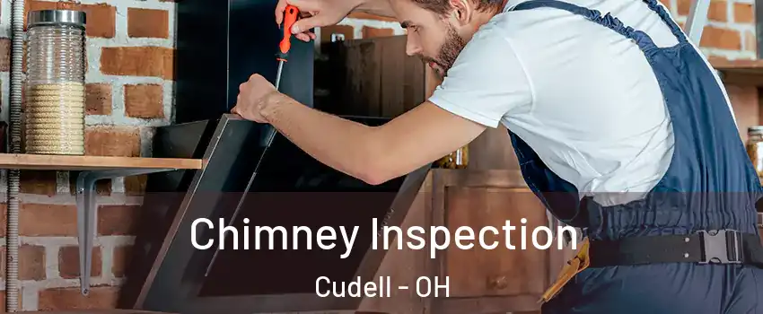 Chimney Inspection Cudell - OH
