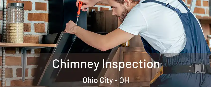 Chimney Inspection Ohio City - OH
