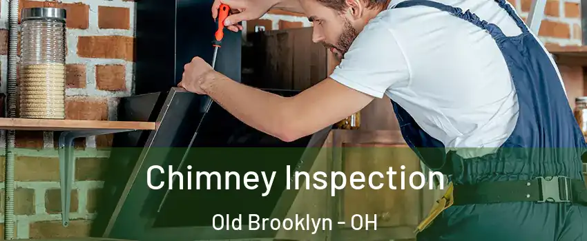 Chimney Inspection Old Brooklyn - OH