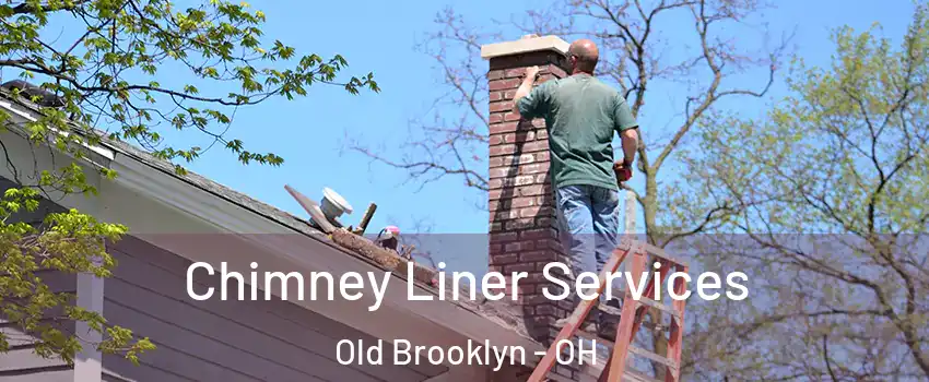 Chimney Liner Services Old Brooklyn - OH