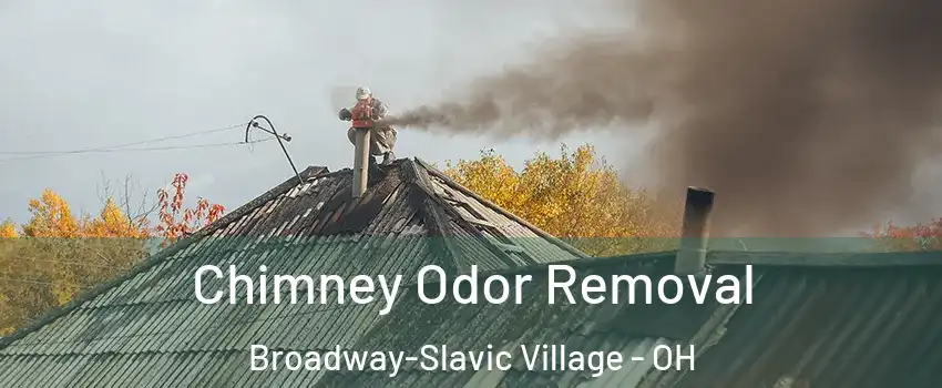 Chimney Odor Removal Broadway-Slavic Village - OH