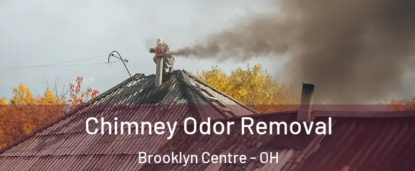 Chimney Odor Removal Brooklyn Centre - OH