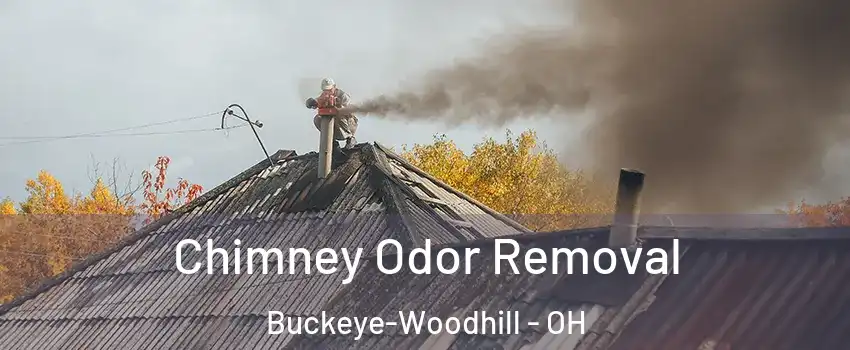 Chimney Odor Removal Buckeye-Woodhill - OH