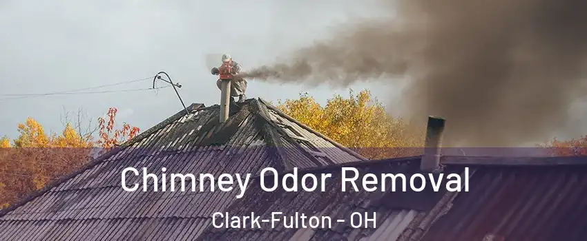 Chimney Odor Removal Clark-Fulton - OH