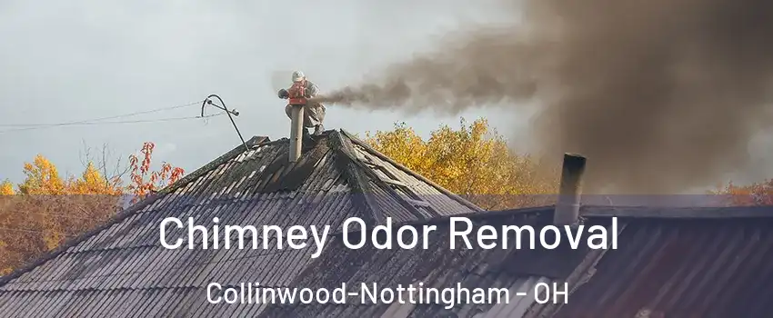 Chimney Odor Removal Collinwood-Nottingham - OH