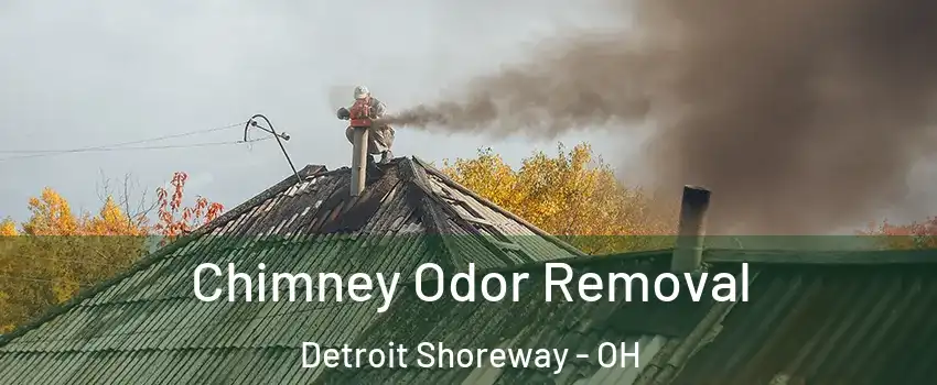 Chimney Odor Removal Detroit Shoreway - OH