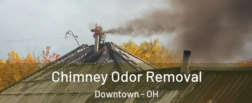 Chimney Odor Removal Downtown - OH
