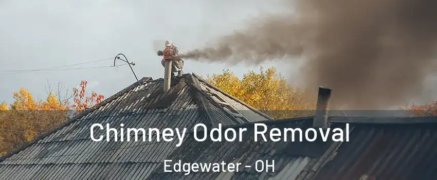 Chimney Odor Removal Edgewater - OH