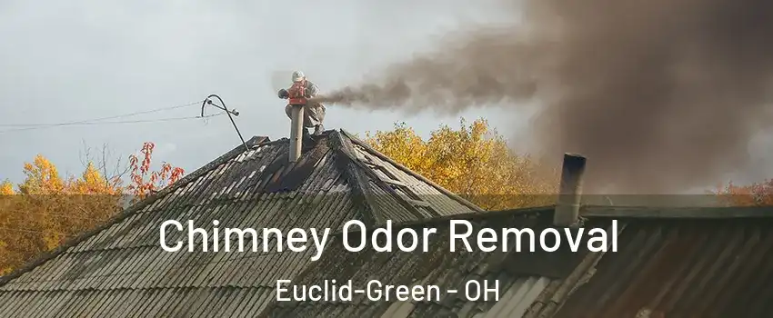 Chimney Odor Removal Euclid-Green - OH