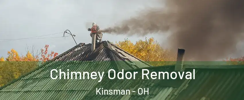 Chimney Odor Removal Kinsman - OH