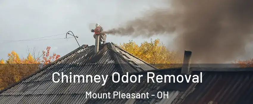 Chimney Odor Removal Mount Pleasant - OH