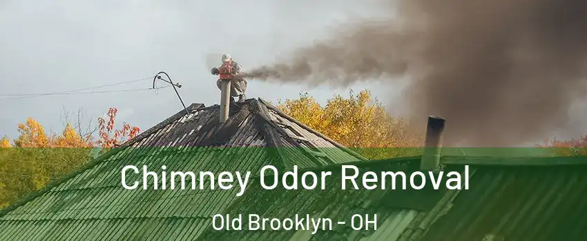 Chimney Odor Removal Old Brooklyn - OH