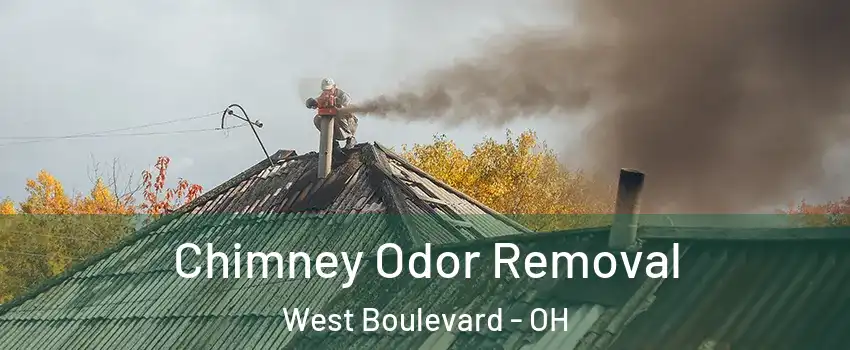 Chimney Odor Removal West Boulevard - OH