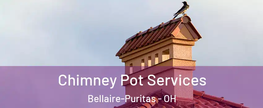 Chimney Pot Services Bellaire-Puritas - OH