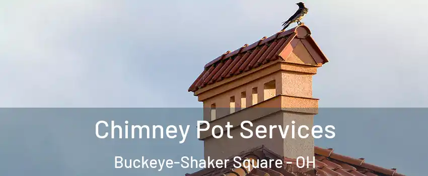 Chimney Pot Services Buckeye-Shaker Square - OH