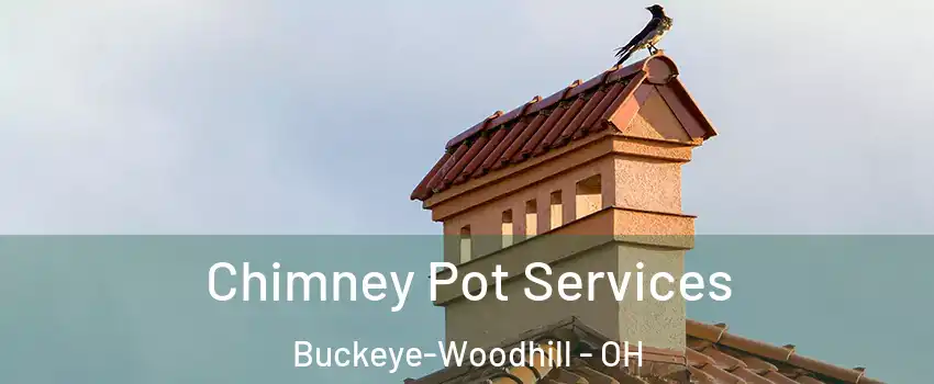 Chimney Pot Services Buckeye-Woodhill - OH