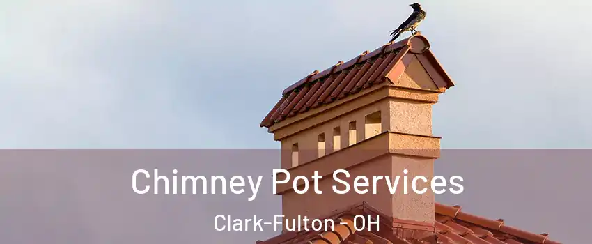 Chimney Pot Services Clark-Fulton - OH