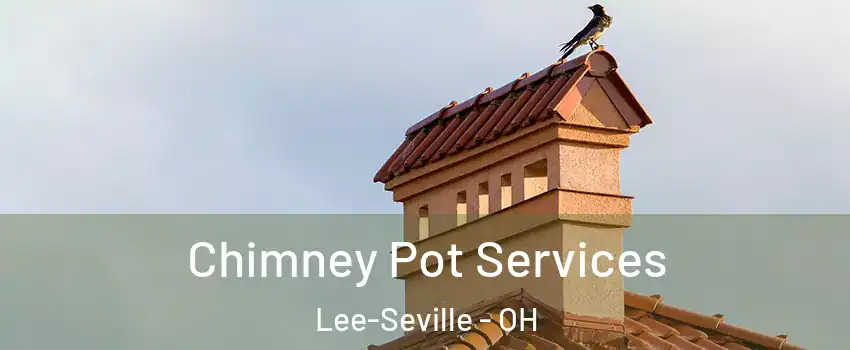 Chimney Pot Services Lee-Seville - OH
