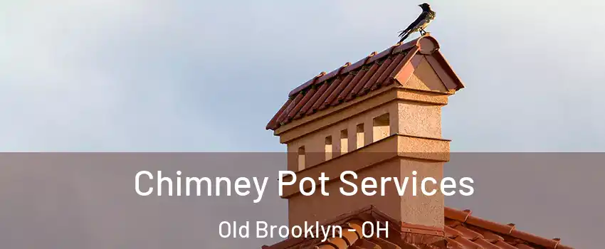 Chimney Pot Services Old Brooklyn - OH