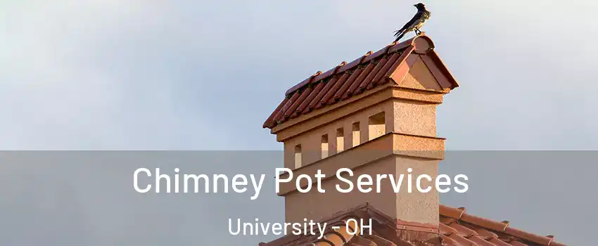 Chimney Pot Services University - OH