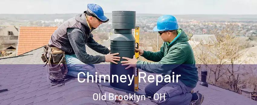 Chimney Repair Old Brooklyn - OH