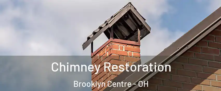Chimney Restoration Brooklyn Centre - OH