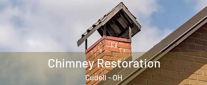 Chimney Restoration Cudell - OH