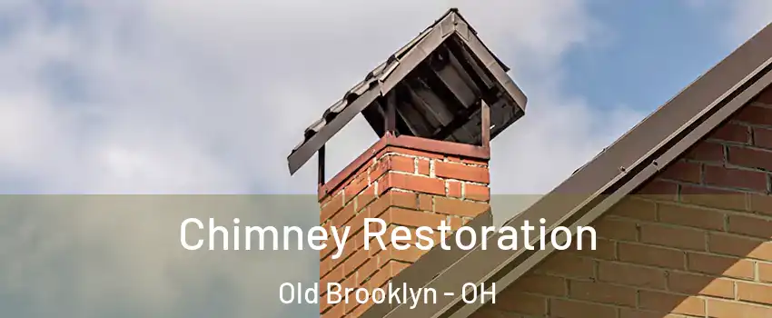 Chimney Restoration Old Brooklyn - OH