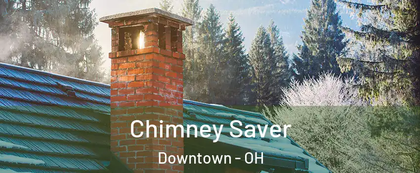 Chimney Saver Downtown - OH