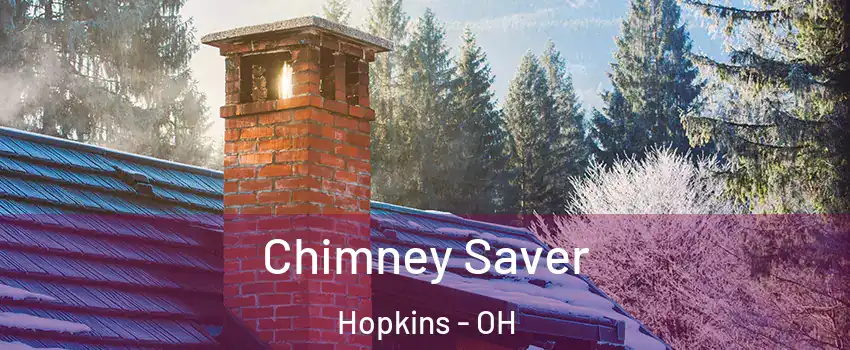 Chimney Saver Hopkins - OH