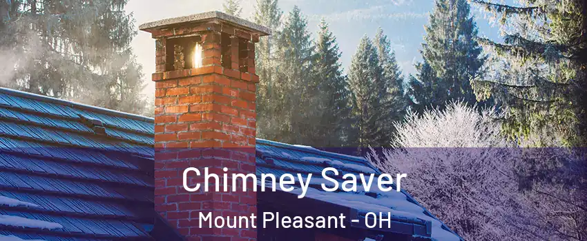 Chimney Saver Mount Pleasant - OH