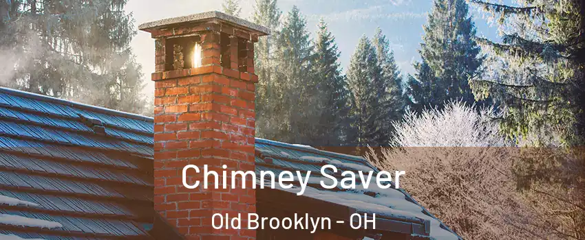 Chimney Saver Old Brooklyn - OH