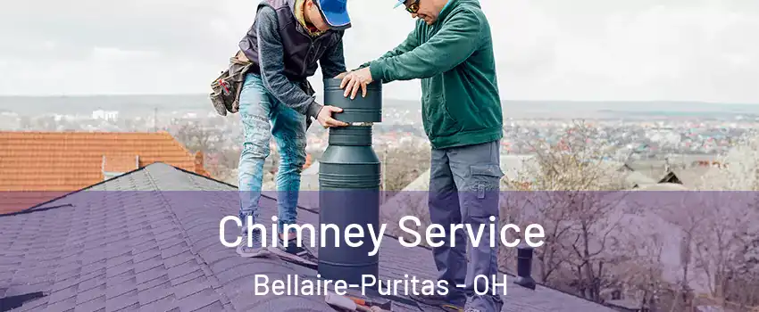 Chimney Service Bellaire-Puritas - OH