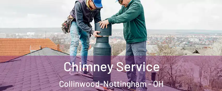 Chimney Service Collinwood-Nottingham - OH